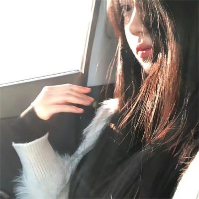 阿基里斯与龟
